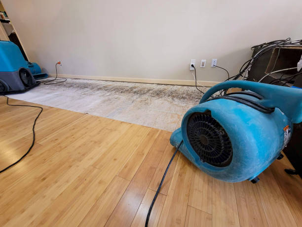Reliable Crawl Space Water Removal contractor in Fort Lee, VA by Hirex Water Damage