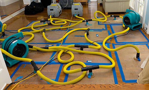 Professional Crawl Space Water Removal technician working in Fort Lee, VA